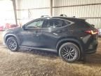 2023 Lexus NX 250