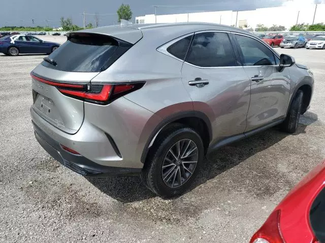 2023 Lexus NX 350