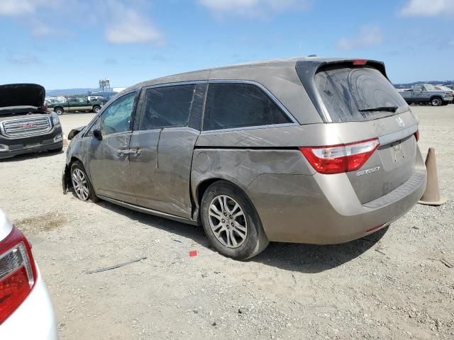 2011 Honda Odyssey EXL