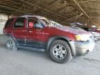 2005 Ford Escape XLT