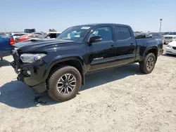 Toyota salvage cars for sale: 2021 Toyota Tacoma Double Cab