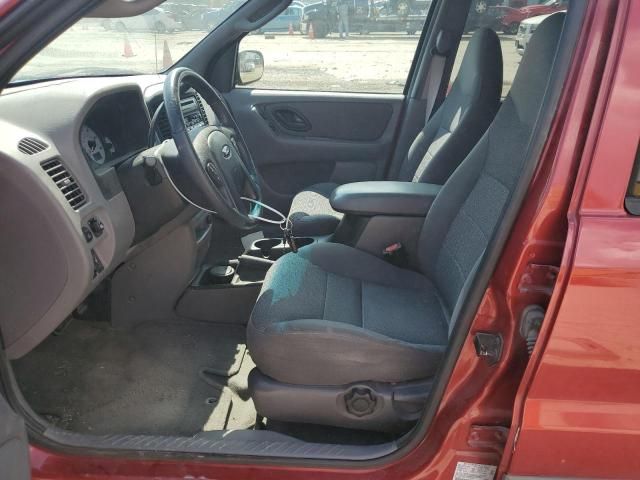 2001 Ford Escape XLT