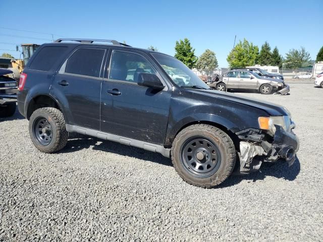 2010 Ford Escape Limited