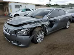 Nissan salvage cars for sale: 2014 Nissan Maxima S