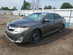 Toyota salvage cars for sale: 2012 Toyota Camry Hybrid