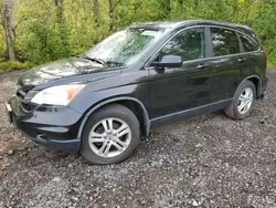 Honda salvage cars for sale: 2010 Honda CR-V EX