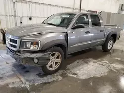 Dodge salvage cars for sale: 2011 Dodge Dakota SLT