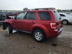 2008 Ford Escape Limited