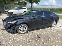 Salvage cars for sale at Cicero, IN auction: 2019 Ford Fusion SE