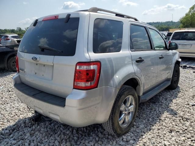 2008 Ford Escape XLT