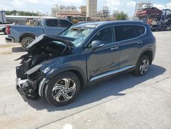 Salvage Cars with No Bids Yet For Sale at auction: 2023 Hyundai Santa FE SEL Premium