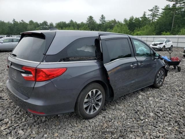 2023 Honda Odyssey EXL