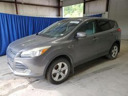 Carros dañados por inundaciones a la venta en subasta: 2014 Ford Escape SE