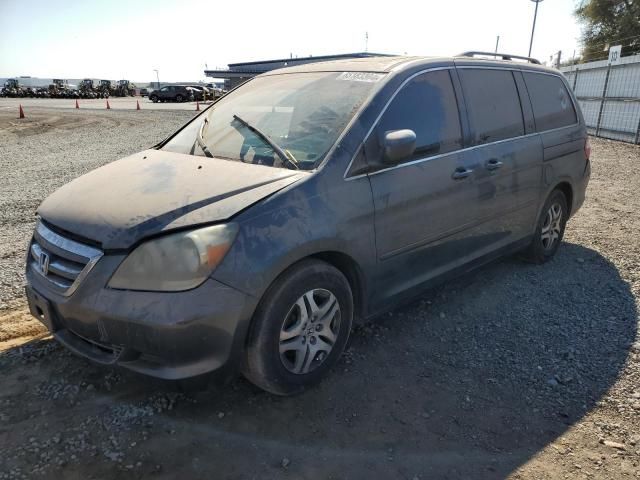 2006 Honda Odyssey EXL