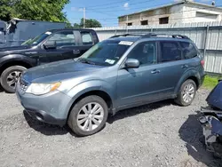 Salvage cars for sale at Albany, NY auction: 2011 Subaru Forester 2.5X Premium