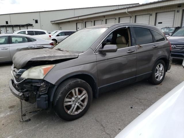 2010 Honda CR-V EXL