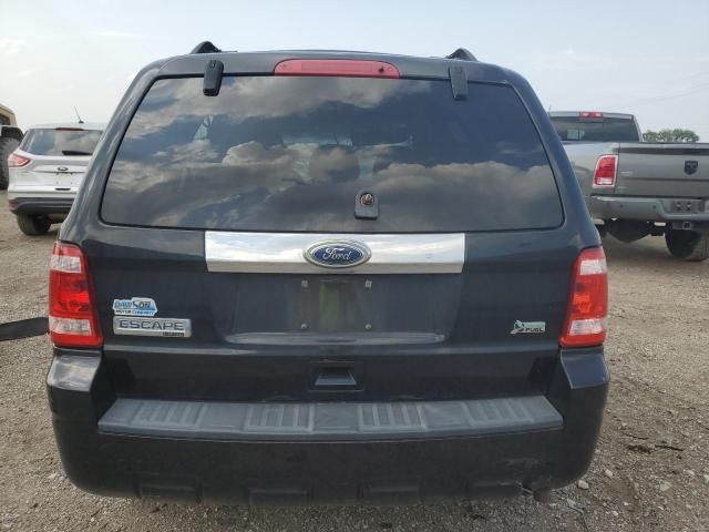 2010 Ford Escape Limited