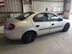 2004 Dodge Neon Base