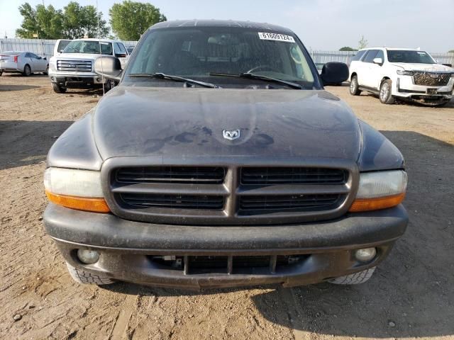 2003 Dodge Dakota Quad Sport