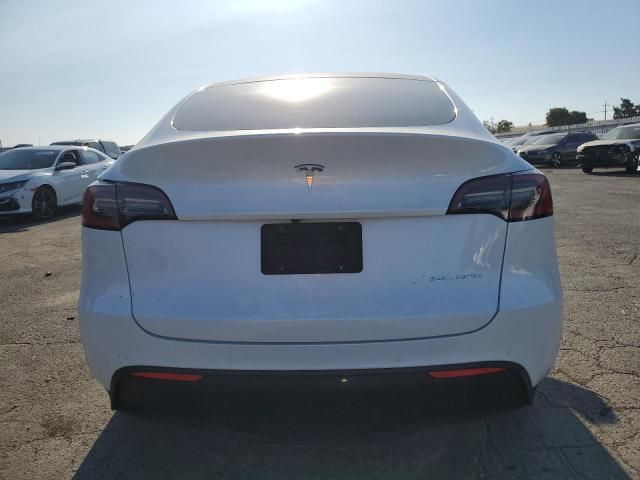 2020 Tesla Model Y