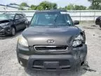 2010 KIA Soul +