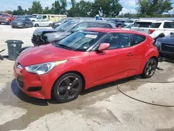 Salvage cars for sale at Bridgeton, MO auction: 2013 Hyundai Veloster