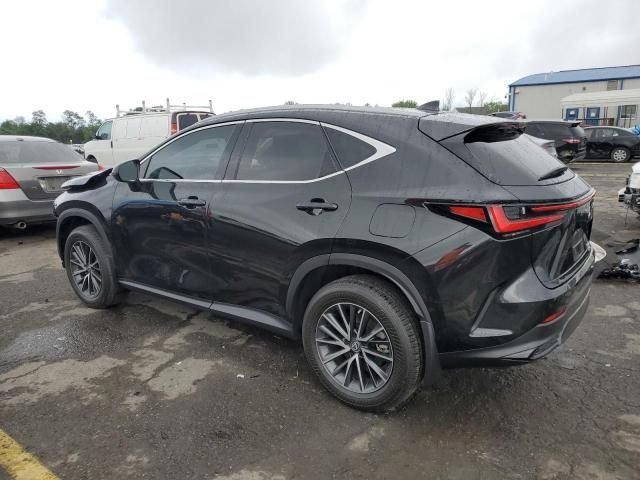 2023 Lexus NX 350