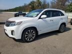 2015 KIA Sorento SX