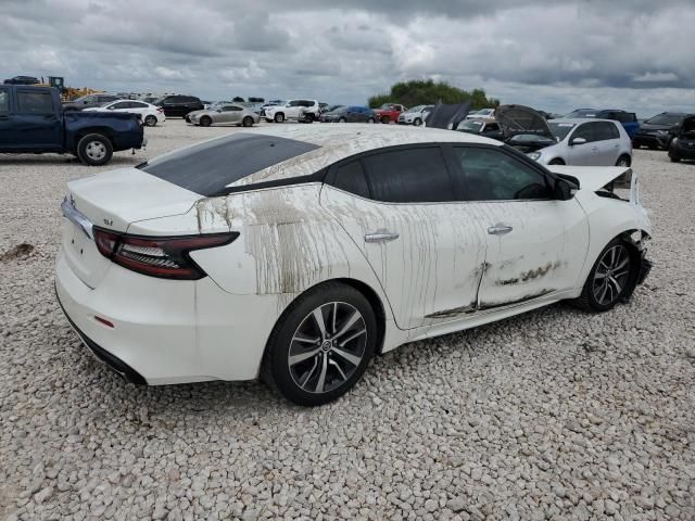 2019 Nissan Maxima S