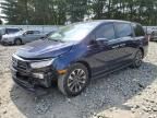 2021 Honda Odyssey EXL