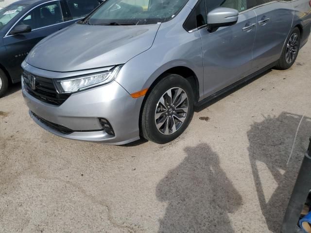 2023 Honda Odyssey EXL