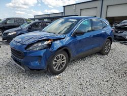 Salvage cars for sale at Wayland, MI auction: 2022 Ford Escape SE