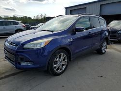 Ford Escape Vehiculos salvage en venta: 2013 Ford Escape SEL