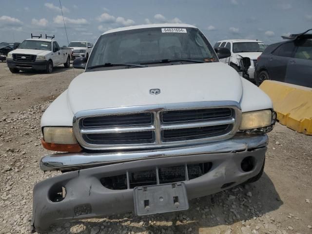 2004 Dodge Dakota Quad SLT