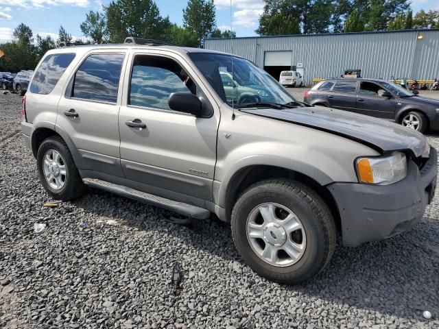 2001 Ford Escape XLT