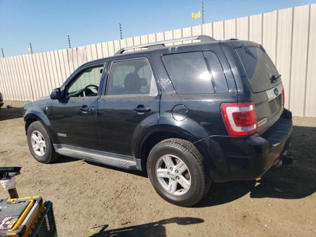 2008 Ford Escape HEV