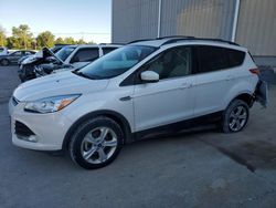 Salvage cars for sale at Lawrenceburg, KY auction: 2013 Ford Escape SE