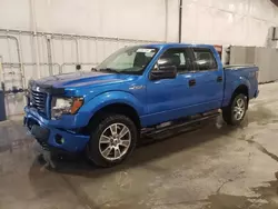 2014 Ford F150 Supercrew en venta en Avon, MN