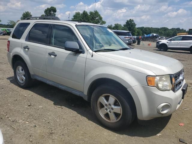 2009 Ford Escape XLT