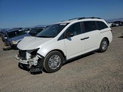 Honda salvage cars for sale: 2014 Honda Odyssey LX