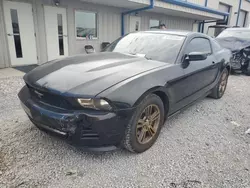 Salvage cars for sale at Earlington, KY auction: 2011 Ford Mustang