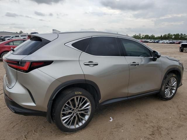 2022 Lexus NX 350