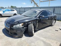 Nissan salvage cars for sale: 2013 Nissan Maxima S