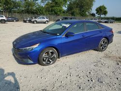 Salvage cars for sale at Cicero, IN auction: 2023 Hyundai Elantra Limited