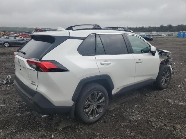 2024 Toyota Rav4 XLE Premium