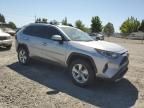 2020 Toyota Rav4 Limited