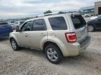 2010 Ford Escape Limited