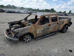 Salvage trucks for sale at Lansing, MI auction: 2014 Ford F150 Supercrew