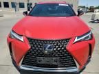 2019 Lexus UX 250H