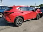 2024 Lexus NX 350H Base